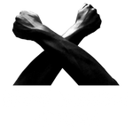bronx academy of home